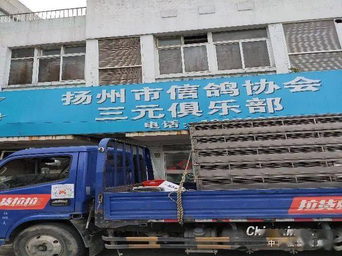 365天，我的鱼视频制作之旅