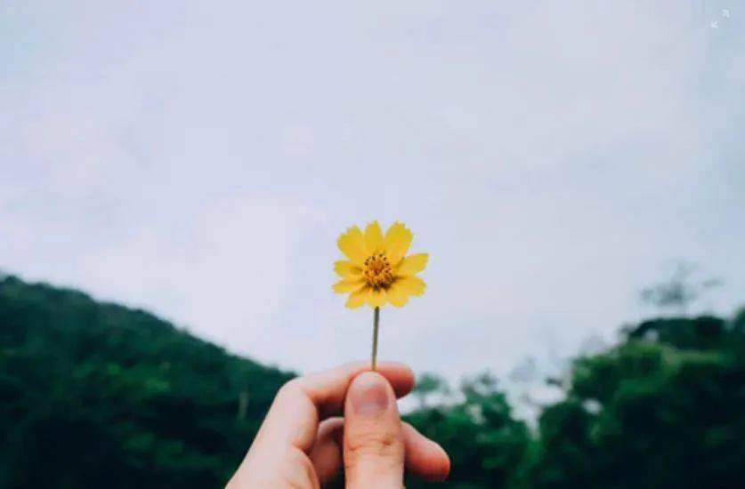 张老师365视频，每日一课，生活因学习而精彩